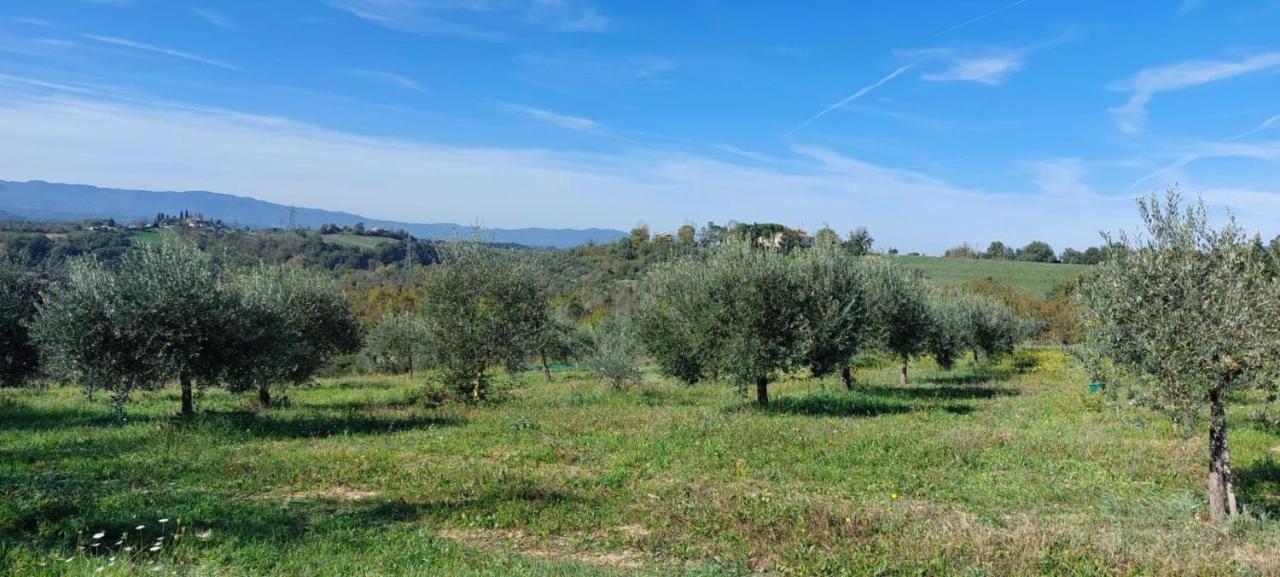Tenuta I Lecci Terranuova Bracciolini Exterior foto
